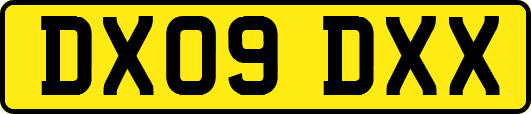 DX09DXX