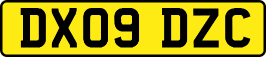 DX09DZC