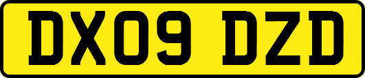 DX09DZD