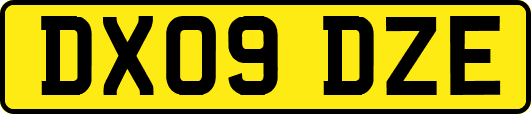 DX09DZE