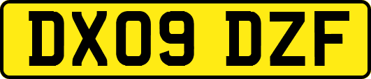 DX09DZF