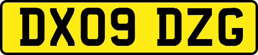DX09DZG