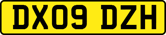 DX09DZH
