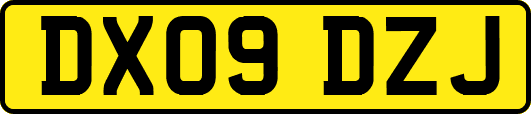 DX09DZJ