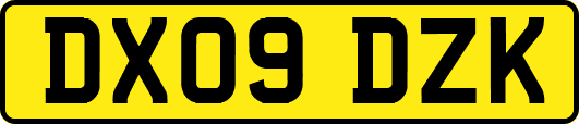 DX09DZK