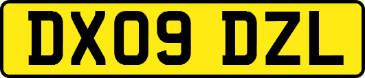 DX09DZL