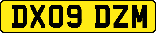 DX09DZM