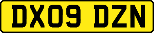 DX09DZN