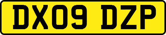 DX09DZP