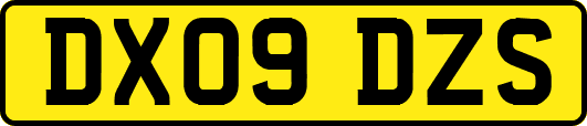 DX09DZS