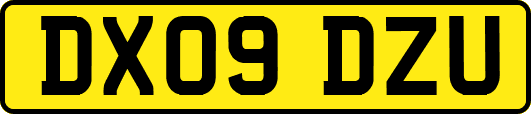 DX09DZU