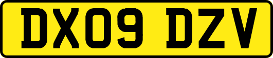 DX09DZV