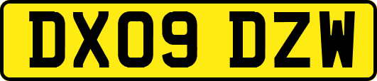 DX09DZW