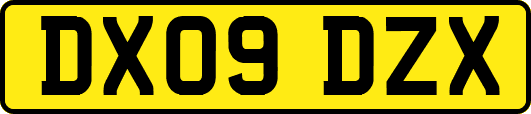 DX09DZX