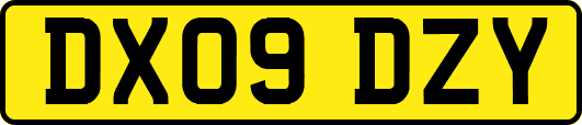 DX09DZY