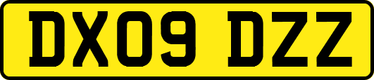DX09DZZ