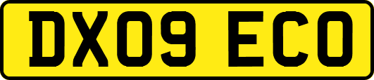 DX09ECO