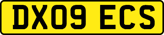 DX09ECS