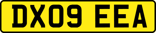 DX09EEA