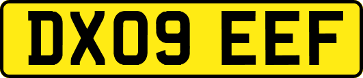 DX09EEF