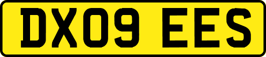 DX09EES