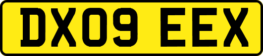 DX09EEX