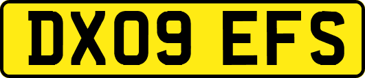 DX09EFS