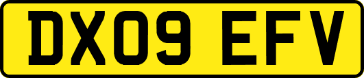 DX09EFV
