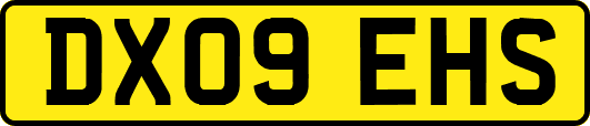 DX09EHS