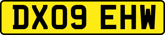 DX09EHW