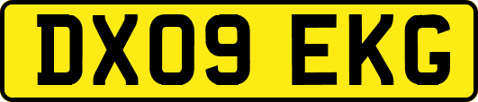 DX09EKG