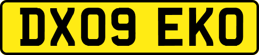 DX09EKO
