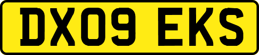 DX09EKS