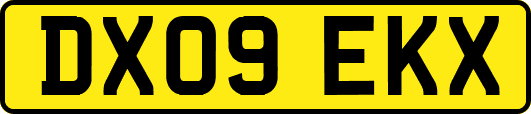 DX09EKX