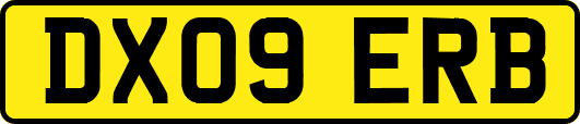 DX09ERB