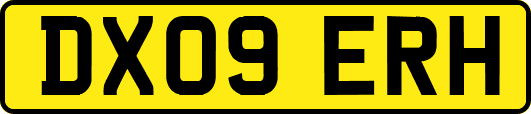 DX09ERH