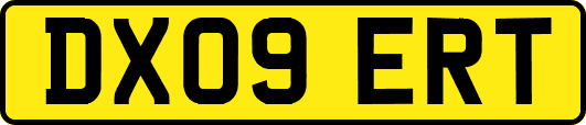 DX09ERT