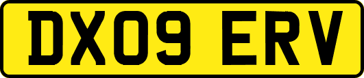 DX09ERV