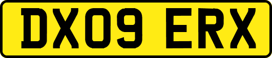 DX09ERX
