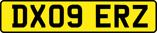DX09ERZ
