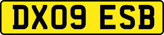 DX09ESB
