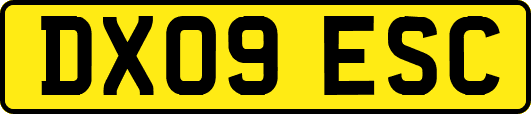 DX09ESC
