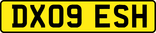 DX09ESH