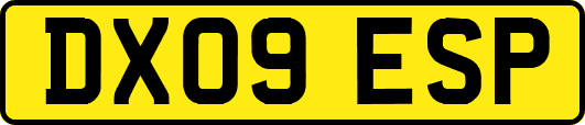 DX09ESP
