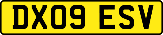 DX09ESV