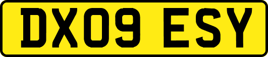 DX09ESY