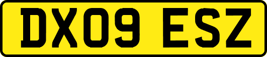 DX09ESZ