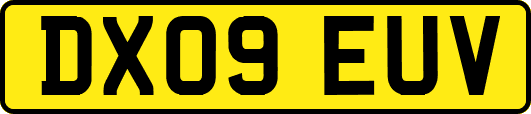 DX09EUV
