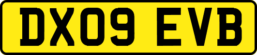 DX09EVB