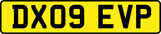 DX09EVP